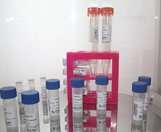 引进美国生物工程前沿技术，打造高科技生物制品研发新生态