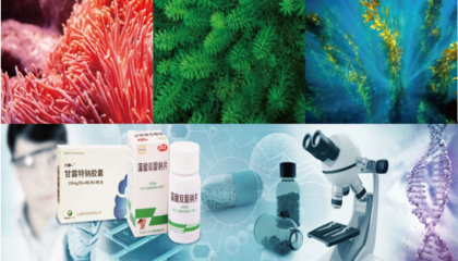 2020海博会 开启通往“蓝色药库”的生物科技新篇章